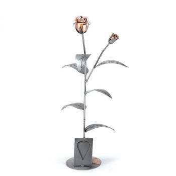 ROSE MIT BILDERRAHMEN